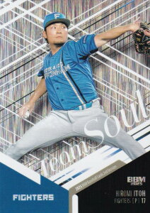 BBM x[X{[J[h TS08 ɓC kC{nt@C^[Y (CT[gJ[h/TEAM SOUL) 2025 2ndo[W