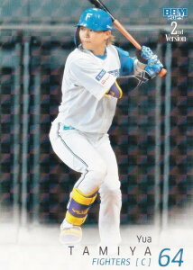 yLJ[hpzBBM x[X{[J[h 508 c{T kC{nt@C^[Y (M[J[h) 2025 2ndo[W