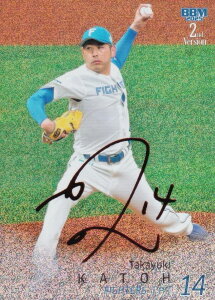 ybhTC 24/25zBBM x[X{[J[h 499 MV kC{nt@C^[Y (M[J[h) 2025 2ndo[W