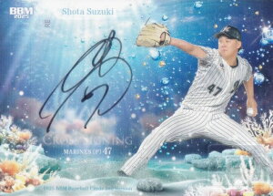 yNXMTCJ[h 02/29zBBM x[X{[J[h ؏ NgX[Y (XyVCT[gJ[h) 2025 2ndo[W