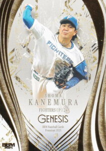 BBM x[X{[J[h 066 ^ kC{nt@C^[Y (M[J[h)шP kyVS[fC[OX (M[J[h) 2025 GENESIS WFlVX