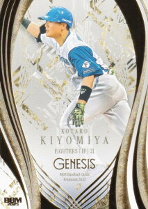 BBM x[X{[J[h 070 {KY kC{nt@C^[Y (M[J[h) 2025 GENESIS WFlVX