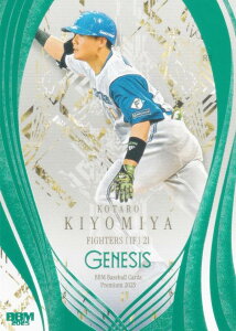 yGh 067/200zBBM x[X{[J[h 070 {KY kC{nt@C^[Y (M[J[h) 2025 GENESIS WFlVX