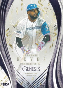 yCgp[v 20/25zBBM x[X{[J[h 072 CGX kC{nt@C^[Y (M[J[h) 2025 GENESIS WFlVX