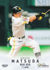 BBM X|[cg[fBOJ[h 11 c_ \tgoNz[NX v싅 (M[J[h) 2025 INFINITY CtBjeB