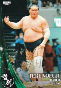 BBM X|[cg[fBOJ[h 96 ƃmxm tY 告o (M[J[h/ɕ) 2025 INFINITY CtBjeB