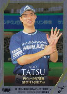 ywAC⎆ 175/300zBBM x[X{[J[h 53 BF kC{nt@C^[Y (M[J[h/L^̓a) 2025 FUSION