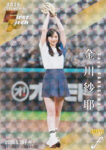 y⎆+zPP 23/50zBBM x[X{[J[h FP30 і T؍46 (M[J[h/nJ[h) 2025 FUSION