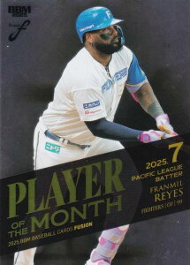 y⎆ 010/200zBBM x[X{[J[h PM16 CGX kC{nt@C^[Y (M[J[h/MVP 7x pE[O Ŏ) 2025 FUSION