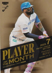 y 076/100zBBM x[X{[J[h PM16 CGX kC{nt@C^[Y (M[J[h/MVP 7x pE[O Ŏ) 2025 FUSION