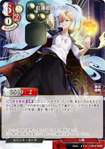 rfBoChTCG C-B13-74SR g@ ng (SR X[p[A) u[X^[pbN13e A]̉̂̂