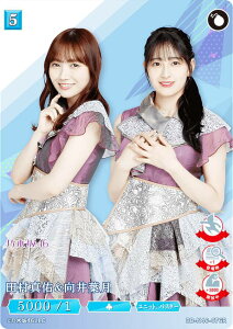 rfBoChTCG uCg BB-N46-076R c^Ct (R A) u[X^[pbN T؍46