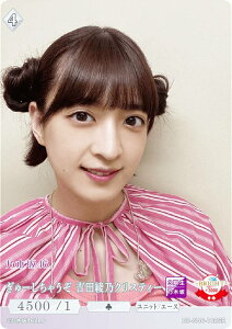 rfBoChTCG uCg BB-N46-102SR [Ⴄ gcTNXeB[ (SR X[p[A) u[X^[pbN T؍46