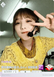 rfBoChTCG uCg BB-N46-103SR 쐶̒́A ^cS (SR X[p[A) u[X^[pbN T؍46