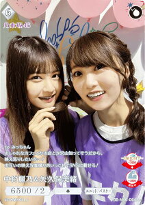 ypzrfBoChTCG uCg BB-N46-064R{ Tv۔ (R{ A) u[X^[pbN T؍46