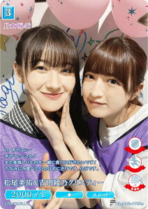 ypzrfBoChTCG uCg BB-N46-079R{ CgcTNXeB[ (R{ A) u[X^[pbN T؍46