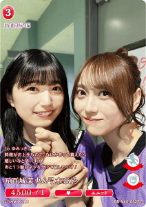 ypzrfBoChTCG uCg BB-N46-082R{ ܕS䝉&|ؓމ (R{ A) u[X^[pbN T؍46