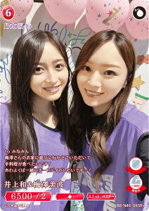 ypzrfBoChTCG uCg BB-N46-085R{ a&~Vg (R{ A) u[X^[pbN T؍46