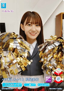 ypzrfBoChTCG uCg BB-N46-114SR{ oN]Ⴄ C (SR{ X[p[A) u[X^[pbN T؍46