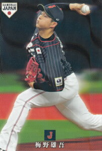 v싅`bvX2019 SJ-04 ~Y (Ng) 싅{\ Wp