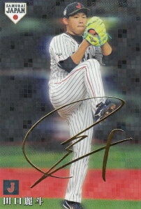 yTCJ[hzv싅`bvX2019 SJ-09 cl (l) 싅{\ Wp