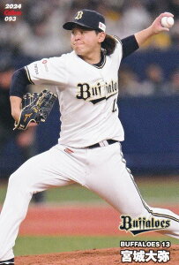 v싅`bvX2024 2e reg-093 {@ (IbNX/M[J[h)