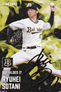 yTCzv싅`bvX2025 2e S-45 ]J  (IbNX/X^[J[h)