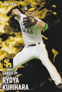 v싅`bvX2025 1e S-14 I˖ (\tgoN/X^[J[h)