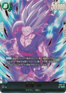 hS{[X[p[J[hQ[ FB07-121 сFSH (SCR V[NbgA) t[W[h u[X^[pbN _ւ̊肢