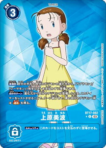 ypzfWJ[hQ[ BT17-082 ㌴g (U AR) u[X^[pbN V[NbgNCVX (BT-17) BOXwTpbN