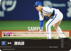 h[I[_[ PDO-01 t lDeNAxCX^[Y (C R) v싅J[hQ[ ZE[O u[X^[pbN 2024 Vol.1