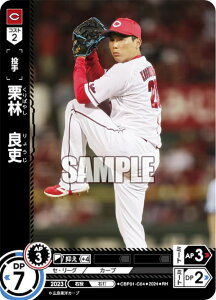 ypzh[I[_[ CBP01-C04 Iс@Ǘ LmJ[v (RH Az) v싅J[hQ[ ZE[O u[X^[pbN 2024 Vol.1