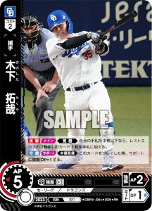 ypzh[I[_[ CBP01-D04 ؉@ hSY (RH Az) v싅J[hQ[ ZE[O u[X^[pbN 2024 Vol.1