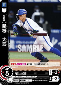 ypzh[I[_[ CBP02-DB06 ֍@C lDeNAxCX^[Y (RH Az) v싅J[hQ[ ZE[O u[X^[pbN 2024 Vol.2