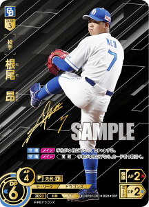 yXyVpzh[I[_[ CBP02-D01 @V hSY (SSP X[p[XyV) v싅J[hQ[ ZE[O u[X^[pbN 2024 Vol.2