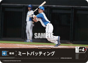 h[I[_[ PDO-02 ~[gobeBO kC{nt@C^[Y (C R) v싅J[hQ[ pE[O u[X^[pbN 2024 Vol.1