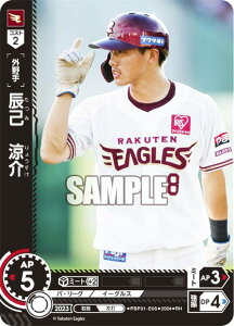 ypzh[I[_[ PBP01-E06 Cȁ@ kyVS[fC[OX (RH Az) v싅J[hQ[ pE[O u[X^[pbN 2024 Vol.1