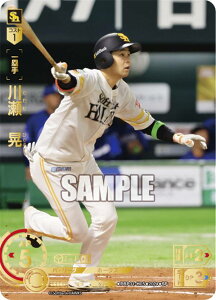 yXyVpzh[I[_[ PBP01-H05 쐣@W \tgoNz[NX (SP XyV) v싅J[hQ[ pE[O u[X^[pbN 2024 Vol.1