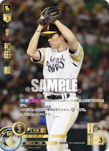 ypzh[I[_[ PBP02-H01 ac@B \tgoNz[NX (UR EgA) v싅J[hQ[ pE[O u[X^[pbN 2024 Vol.2