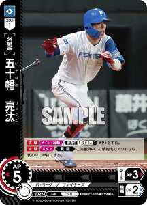 ypzh[I[_[ PBP02-F06 ܏\@ kC{nt@C^[Y (RH Az) v싅J[hQ[ pE[O u[X^[pbN 2024 Vol.2