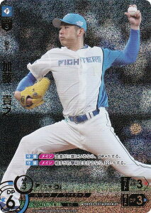 ypzh[I[_[ PBP03-F01 @MV kC{nt@C^[Y (UR EgA) v싅J[hQ[ pE[O u[X^[pbN 2024 Vol.3