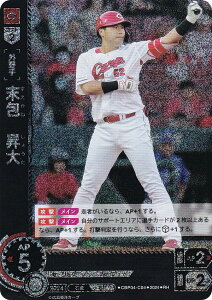 ypzh[I[_[ CBP04-C04 @ LmJ[v (RH Az) v싅J[hQ[ ZE[O u[X^[pbN 2024 Vol.4