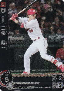 ypzh[I[_[ CBP04-C11 񖓁@Ĉ LmJ[v (CH Rz) v싅J[hQ[ ZE[O u[X^[pbN 2024 Vol.4