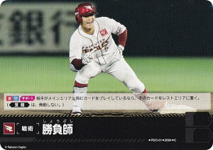 h[I[_[ PBP04/PDO-01 t kyVS[fC[OX (C R) v싅J[hQ[ pE[O u[X^[pbN 2024 Vol.4