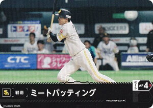 h[I[_[ PBP04/PDO-02 ~[gobeBO \tgoNz[NX (C R) v싅J[hQ[ pE[O u[X^[pbN 2024 Vol.4