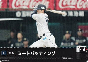 h[I[_[ PBP04/PDO-02 ~[gobeBO ʐCIY (C R) v싅J[hQ[ pE[O u[X^[pbN 2024 Vol.4