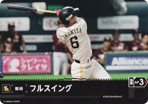 h[I[_[ PBP04/PDO-03 tXCO \tgoNz[NX (C R) v싅J[hQ[ pE[O u[X^[pbN 2024 Vol.4