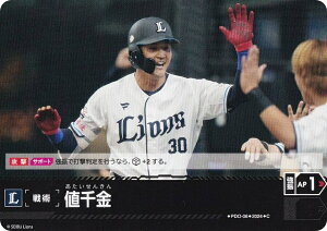 h[I[_[ PBP04/PDO-06 l ʐCIY (C R) v싅J[hQ[ pE[O u[X^[pbN 2024 Vol.4