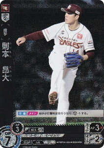 ypzh[I[_[ PBP04-E04 {@V kyVS[fC[OX (RH Az) v싅J[hQ[ pE[O u[X^[pbN 2024 Vol.4