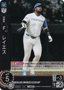 ypzh[I[_[ PBP04-F06 FDCGX kC{nt@C^[Y (RH Az) v싅J[hQ[ pE[O u[X^[pbN 2024 Vol.4